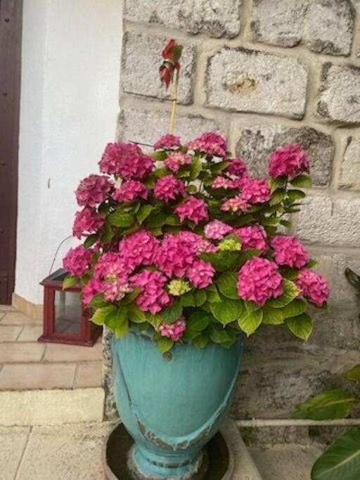 Charmant Appart Avec Jardin Эг-Морт Экстерьер фото